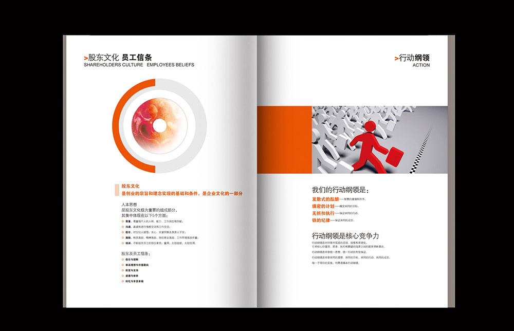 房地產(chǎn)企業(yè)宣傳畫冊設(shè)計