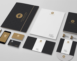 北京vi設(shè)計(jì)排名